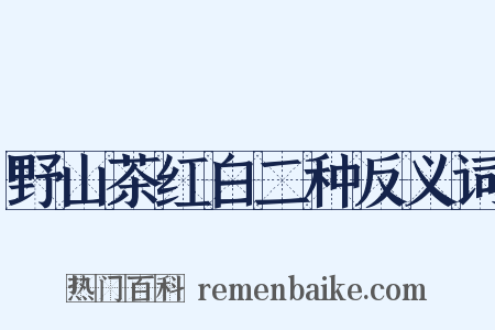 野山茶红白二种反义词是什么意思的图片